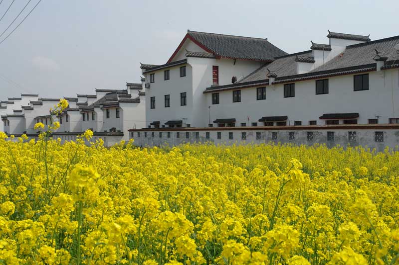 乡土兴怀散记——磨店