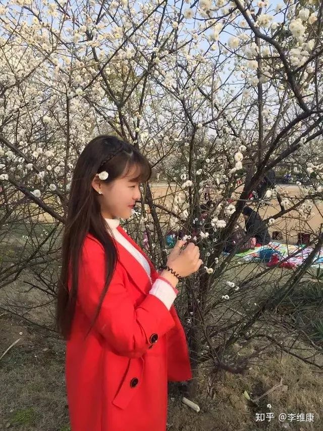 西湖 西湖
