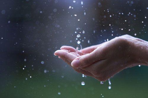 那场雨