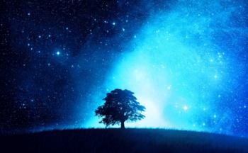 最美的星空.jpg